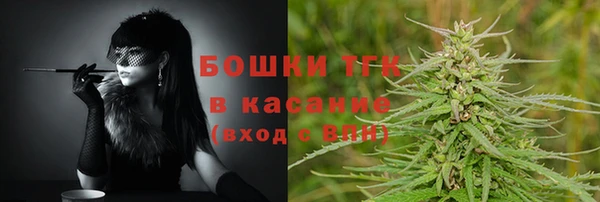 ешки Аркадак