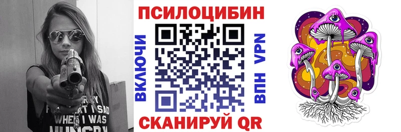 что такое   блэк спрут рабочий сайт  Галлюциногенные грибы Cubensis  Райчихинск 